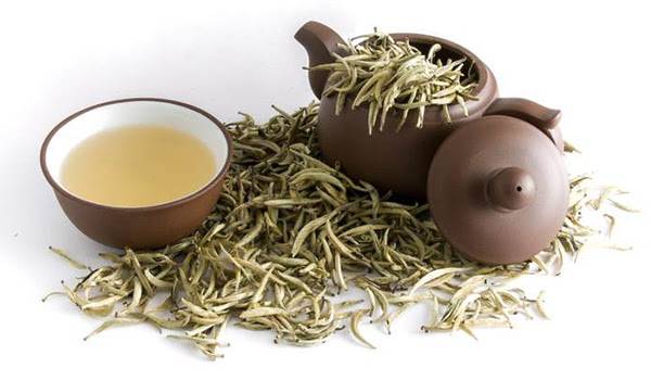 Lương Trà - Thế Giới Trà Ngon - Tinh Hoa Trà Nhân Gian